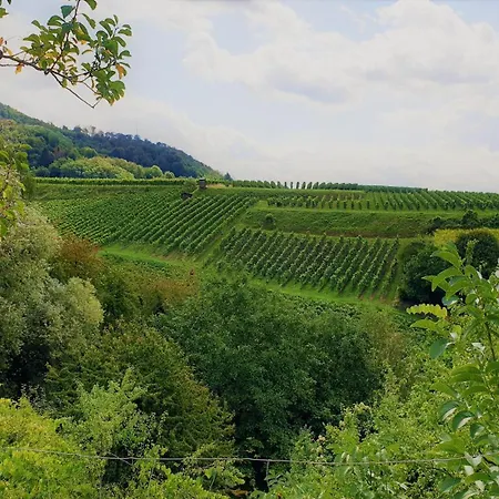 فندق Halber Mond Heppenheim (Bergstrasse)