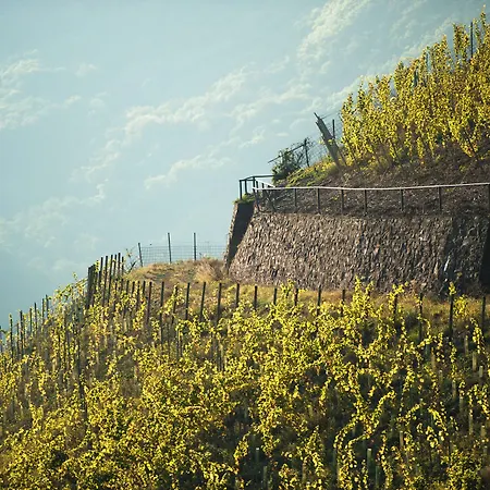 Halber Mond Heppenheim (Bergstrasse)