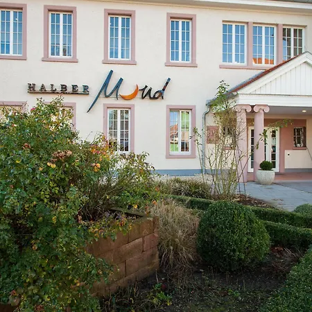 Halber Mond Hotel Heppenheim (Bergstrasse)