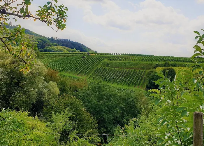 Szálloda Halber Mond Heppenheim (Bergstrasse)