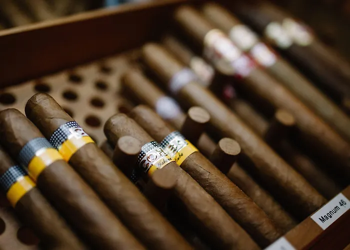 Halber Mond Szálloda Heppenheim (Bergstrasse)